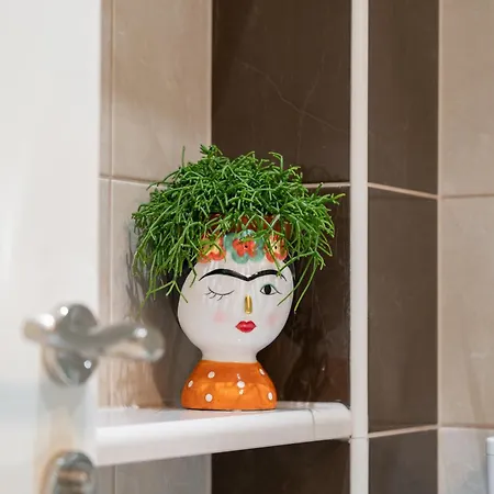 Dora * מאקרסקה